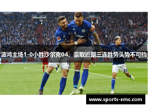 波鸿主场1-0小胜沙尔克04，豪取近期三连胜势头势不可挡